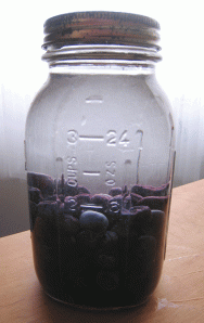 vodkaandblueberries